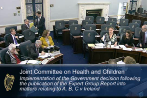 Jennifer Schweppe, Ciara Staunton and Simon Mills (right) attending the Oireachtas this morning.