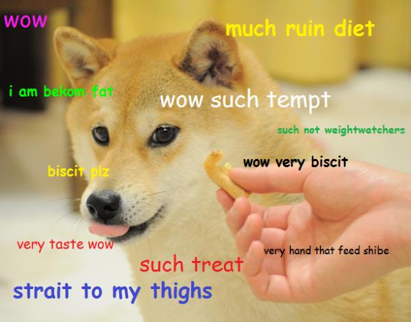 doge meme nascar