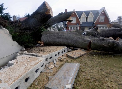 As well as knocking out power, the storm has brought down trees across the country, including this one on Howth Road.