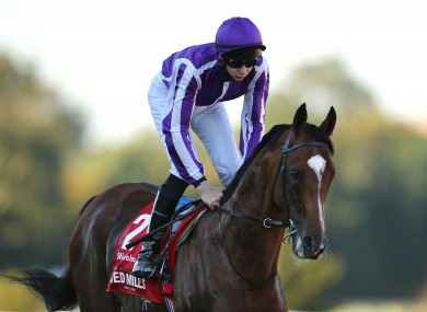 Jockey Joseph O'Brien onboard St. Nicholas Abbey, pictured in 2012.